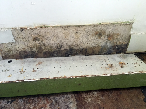 Mold & Mildew Remediation Mold & Mildew Remediation
