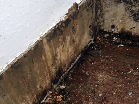 Mold & Mildew Remediation - Crawl Space Water Damage Mold & Mildew Remediation - Crawl Space Water Damage