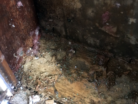 Mold & Mildew Remediation - Crawl Space Water Damage Mold & Mildew Remediation - Crawl Space Water Damage