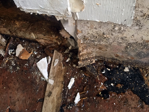 Mold & Mildew Remediation - Crawl Space Water Damage Mold & Mildew Remediation - Crawl Space Water Damage
